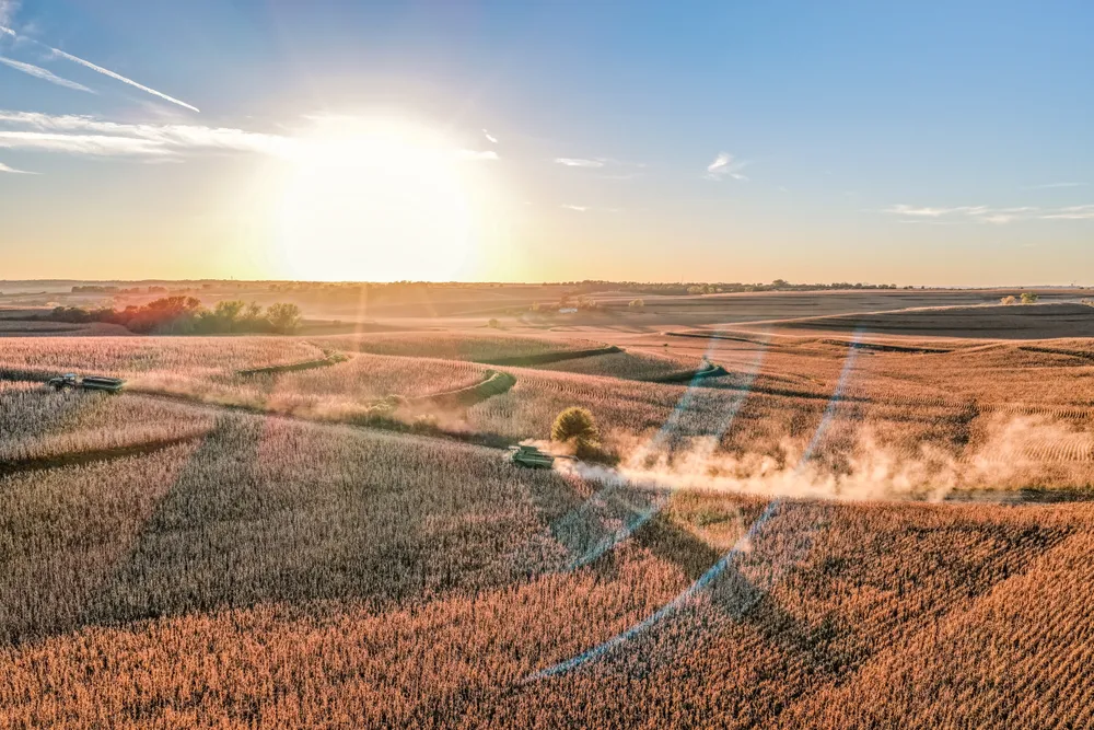 Wide aerial view of a combine harvesting corn across rolling farmland at golden hour